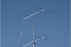ant-maan-def-1