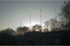 dawn800