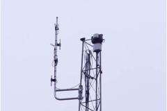 wpx4-25