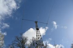 mini_DSC_1064