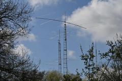 mini_DSC_1074