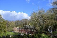 mini_DSC_1081