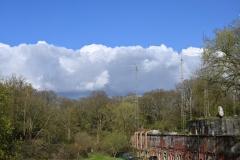 mini_DSC_1084