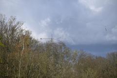 mini_DSC_1085