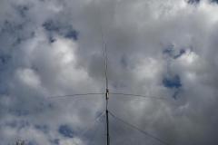 mini_DSC_1087
