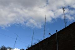 mini_DSC_1108