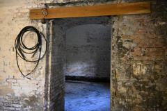 mini_DSC_1110
