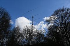 mini_DSC_1115