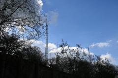 mini_DSC_1116