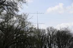 mini_DSC_1142