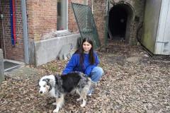 mini_20251229_134114